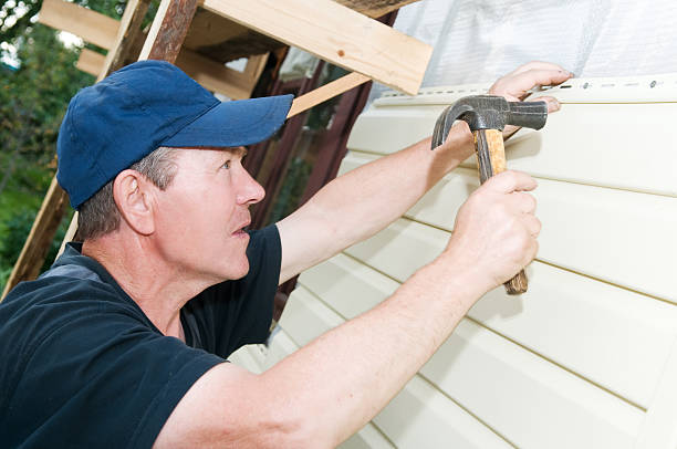 Best Historical Building Siding Restoration  in La Mesa, CA